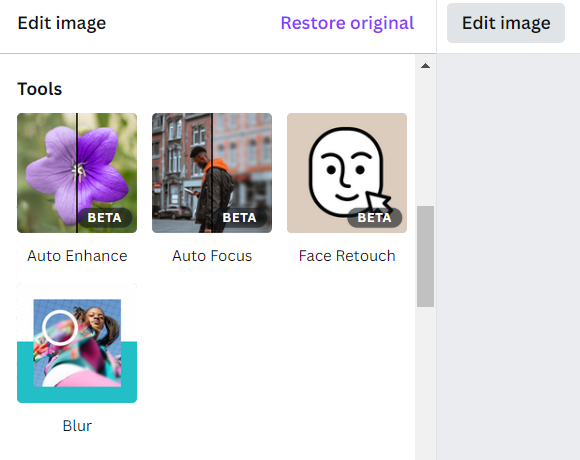 How to Blur Part of a Picture in Canva ?