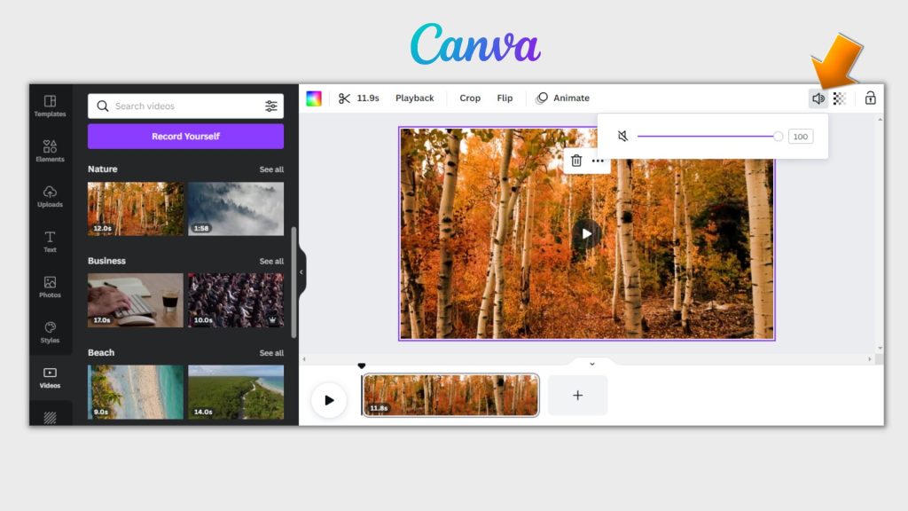 How To Remove Audio From Video in Canva ?