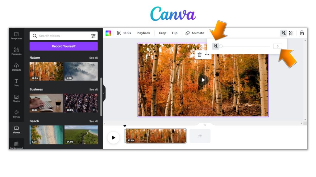 How To Remove Audio From Video in Canva ?